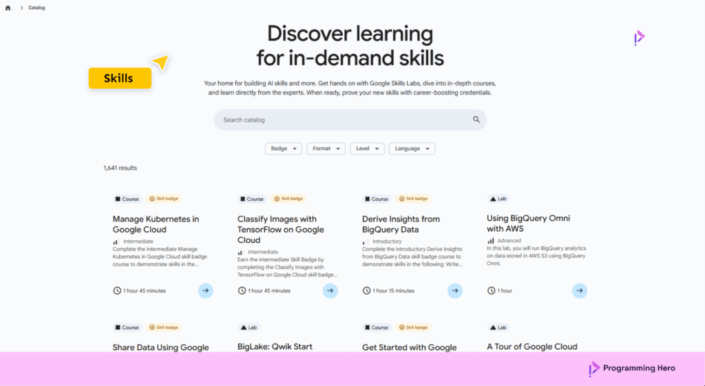 Google Skills 2025